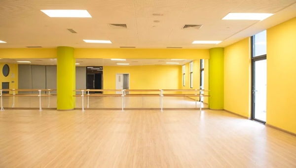 嘉德圣玛丽森林城市国际学校的舞蹈工作室